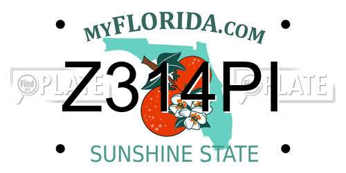 Z314PI Florida License Plate
