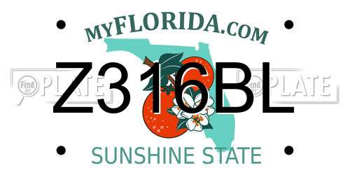 Z316BL Florida License Plate