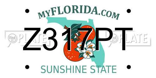 Z317PT Florida License Plate