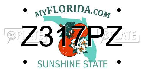 Z317PZ Florida License Plate