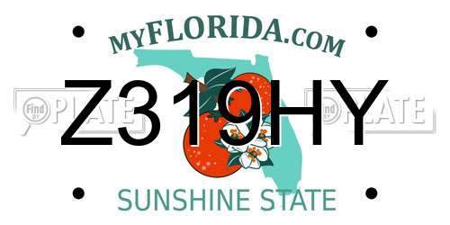 Z319HY Florida License Plate