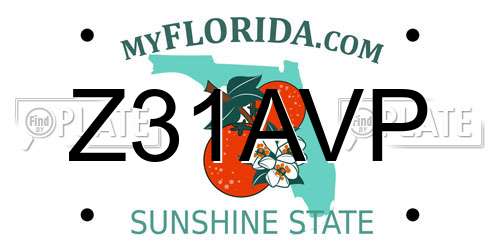 Z31AVP Florida License Plate