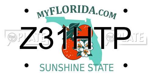 Z31HTP Florida License Plate