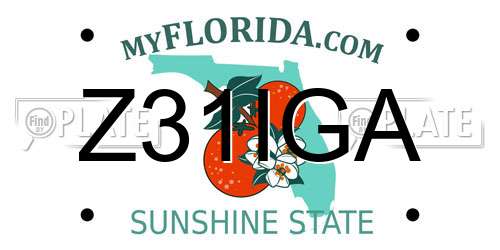 Z31IGA Florida License Plate