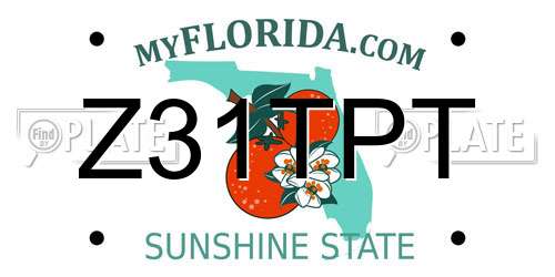Z31TPT Florida License Plate