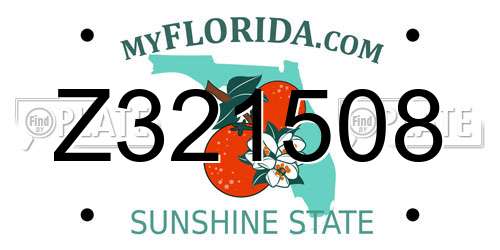 Z321508 Florida License Plate