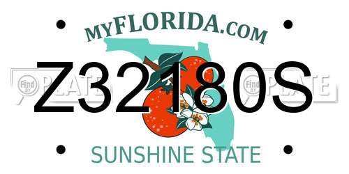 Z32180S Florida License Plate