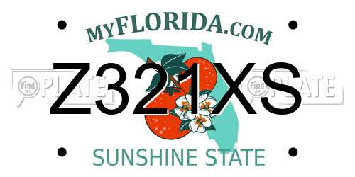 Z321XS Florida License Plate