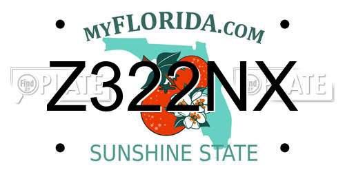 Z322NX Florida License Plate