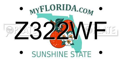 Z322WF Florida License Plate