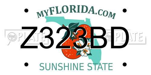 Z323BD Florida License Plate