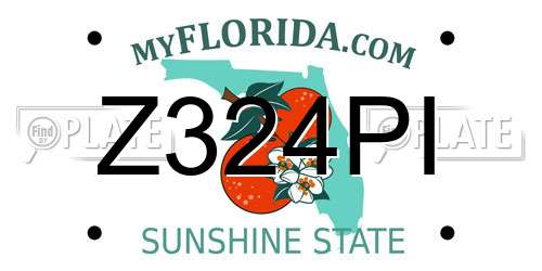 Z324PI Florida License Plate