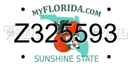Z325593 Florida License Plate