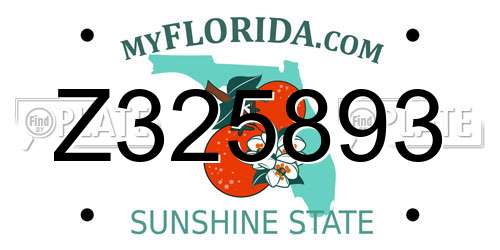 Z325893 Florida License Plate