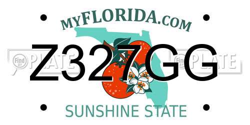 Z327GG Florida License Plate
