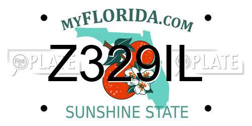 Z329IL Florida License Plate