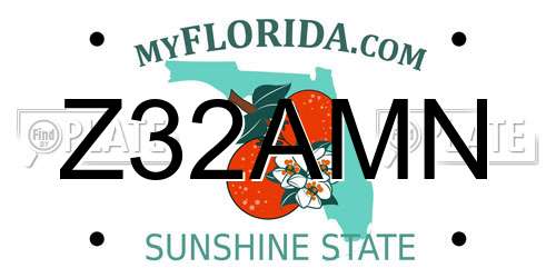 Z32AMN Florida License Plate