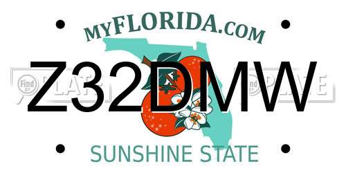 Z32DMW Florida License Plate