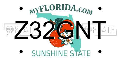 Z32GNT Florida License Plate