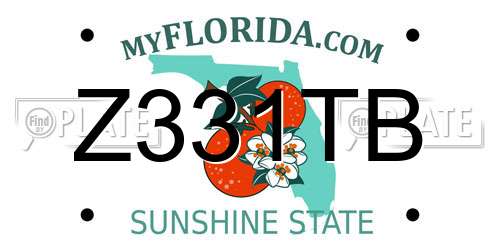Z331TB Florida License Plate
