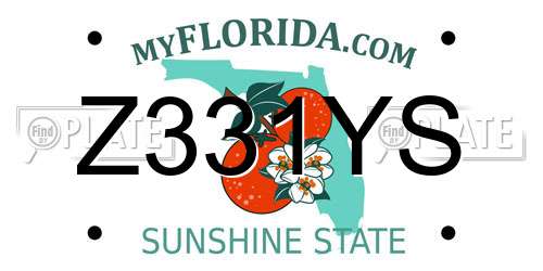 Z331YS Florida License Plate