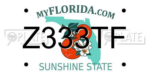 Z333TF Florida License Plate