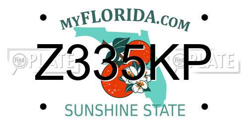 Z335KP Florida License Plate
