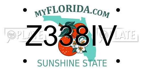 Z338IV Florida License Plate