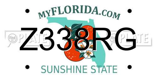 Z338RG Florida License Plate
