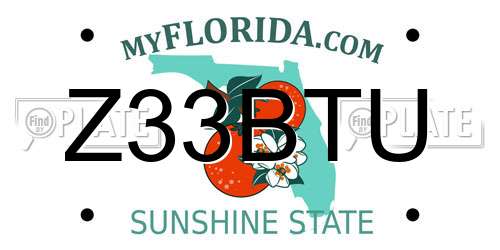 Z33BTU Florida License Plate