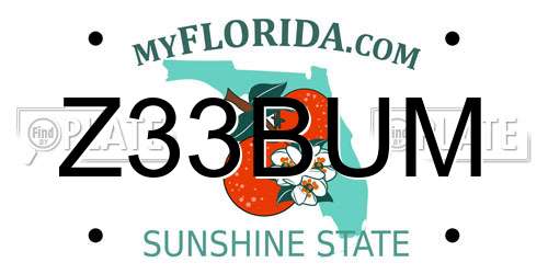 Z33BUM Florida License Plate