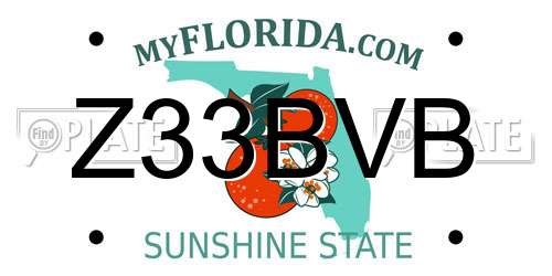 Z33BVB Florida License Plate