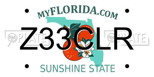 Z33CLR Florida License Plate