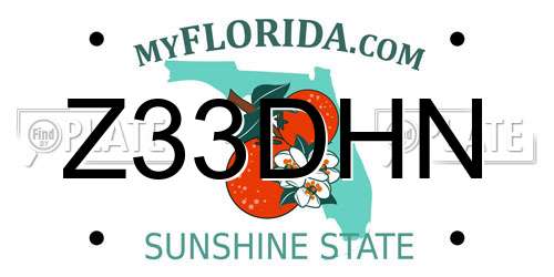 Z33DHN Florida License Plate
