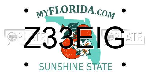 Z33EIG Florida License Plate