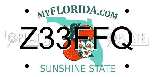 Z33FFQ Florida License Plate