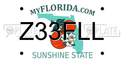 Z33FLL Florida License Plate
