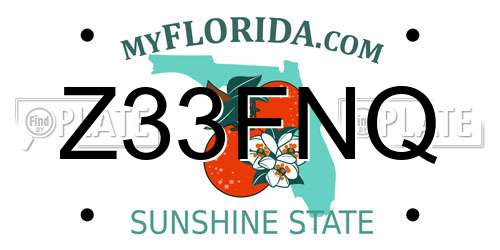 Z33FNQ Florida License Plate