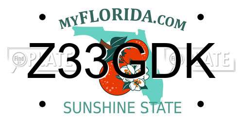 Z33GDK Florida License Plate