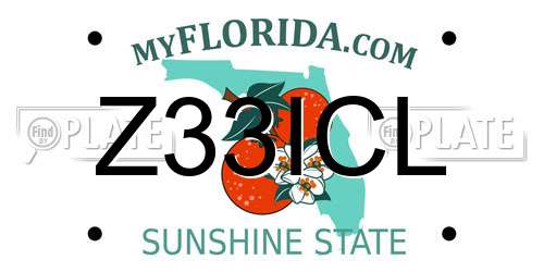 Z33ICL Florida License Plate