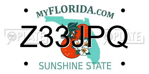 Z33JPQ Florida License Plate