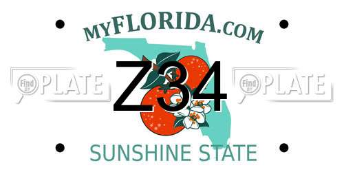 Z34 Florida License Plate