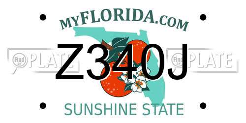Z340J Florida License Plate