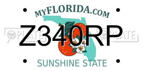 Z340RP Florida License Plate