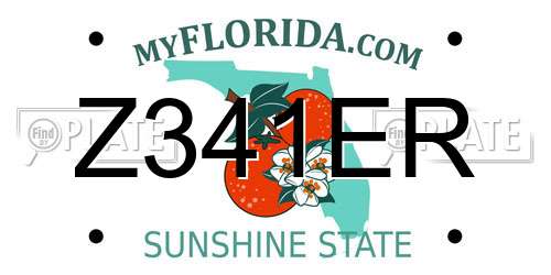 Z341ER Florida License Plate
