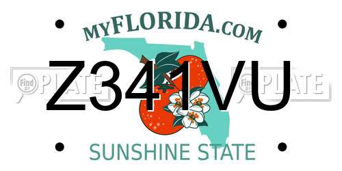 Z341VU Florida License Plate