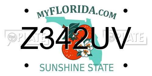 Z342UV Florida License Plate