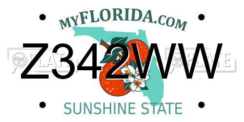 Z342WW Florida License Plate