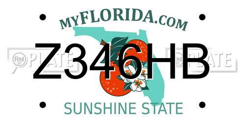 Z346HB Florida License Plate