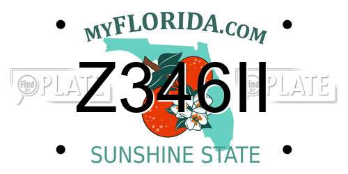 Z346II Florida License Plate